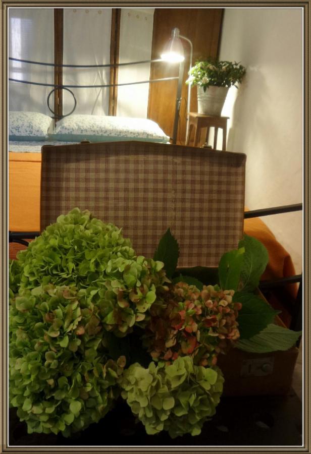 Boves Cuntro' Granda B&B 외부 사진